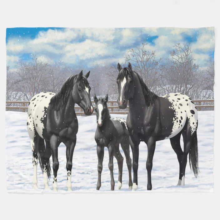 Black Appaloosa Horses In Snow Fleece Blanket Zazzle Com