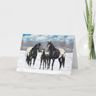 Black Appaloosa Horses In Snow Holiday Card