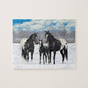 Black Appaloosa Horses In Snow Jigsaw Puzzle