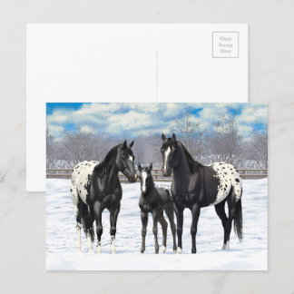 Black Appaloosa Horses In Snow Postcard