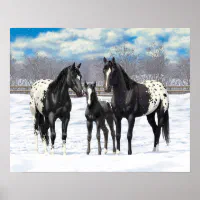 Appaloosa Horse Rearing | Art Board Print