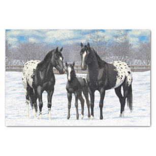Black Appaloosa Horses In Snow Tissue Paper