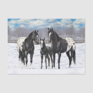 Black Appaloosa Horses In Snow Tissue Paper