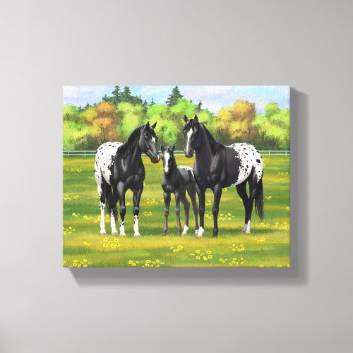 Black Appaloosa Horses In Summer Pasture Canvas Print