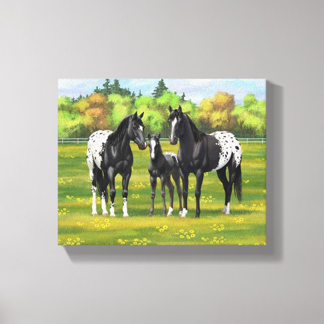 Black Appaloosa Horses In Summer Pasture Canvas Print (Front)