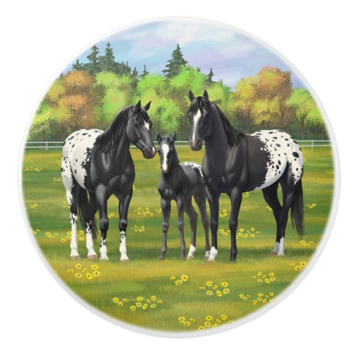 Black Appaloosa Horses In Summer Pasture Ceramic Knob