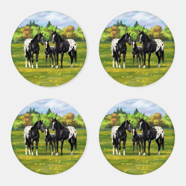 Black Appaloosa Horses In Summer Pasture Coaster Set (Set)