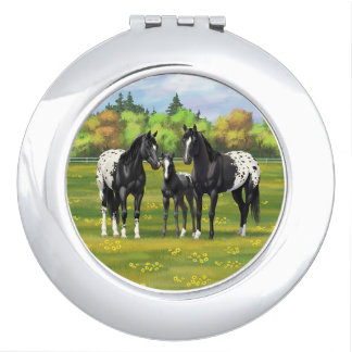 Black Appaloosa Horses In Summer Pasture Compact Mirror