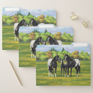 Black Appaloosa Horses In Summer Pasture File Folder