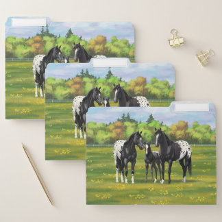 Black Appaloosa Horses In Summer Pasture File Folder