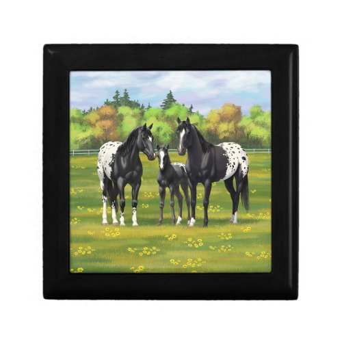 Black Appaloosa Horses In Summer Pasture Gift Box