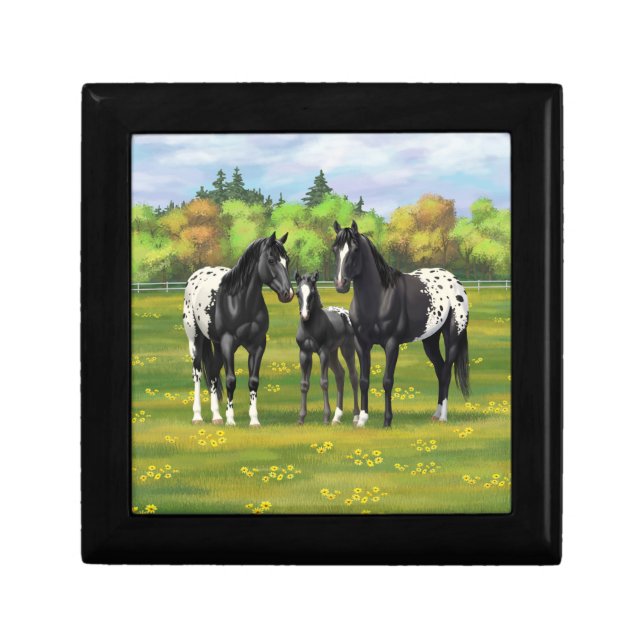 Black Appaloosa Horses In Summer Pasture Gift Box (Front)