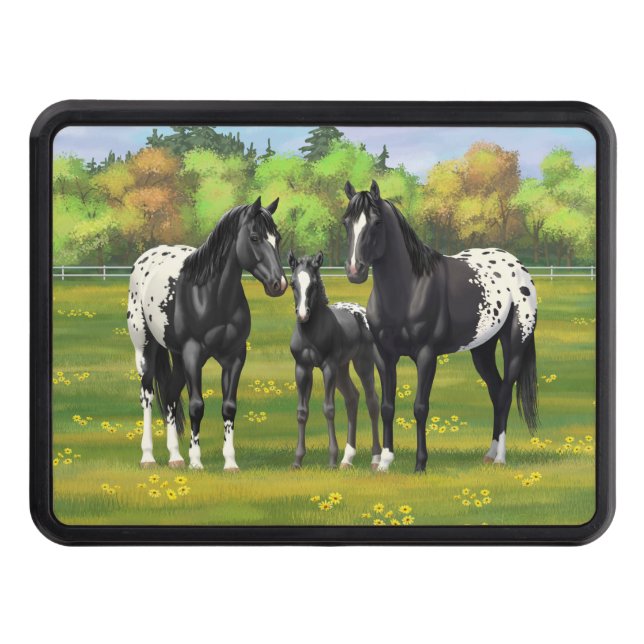 Black Appaloosa Horses In Summer Pasture Hitch Cover (Front)