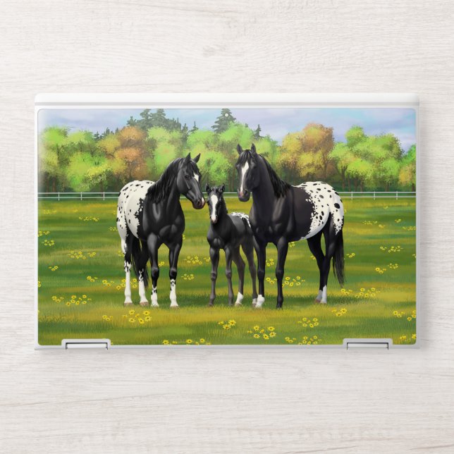Black Appaloosa Horses In Summer Pasture HP Laptop Skin (Front)