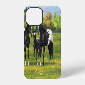 Black Appaloosa Horses In Summer Pasture iPhone 12 Case