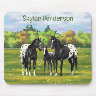Black Appaloosa Horses In Summer Pasture Mouse Pad