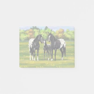 Black Appaloosa Horses In Summer Pasture Post-it Notes