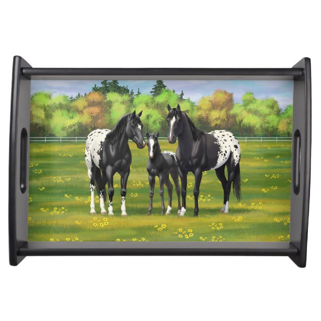 Black Appaloosa Horses In Summer Pasture Serving Tray (Front)