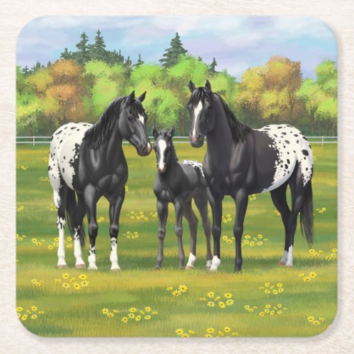 Black Appaloosa Horses In Summer Pasture Square Paper Coaster
