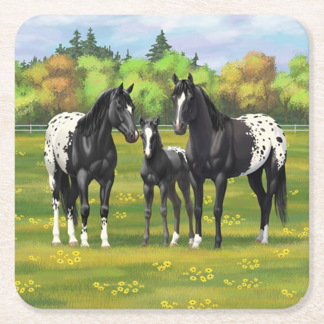 Black Appaloosa Horses In Summer Pasture Square Paper Coaster (Front)
