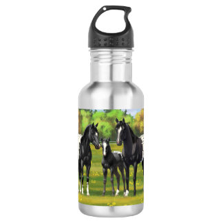 Black Appaloosa Horses In Summer Pasture Stainless Steel Water Bottle