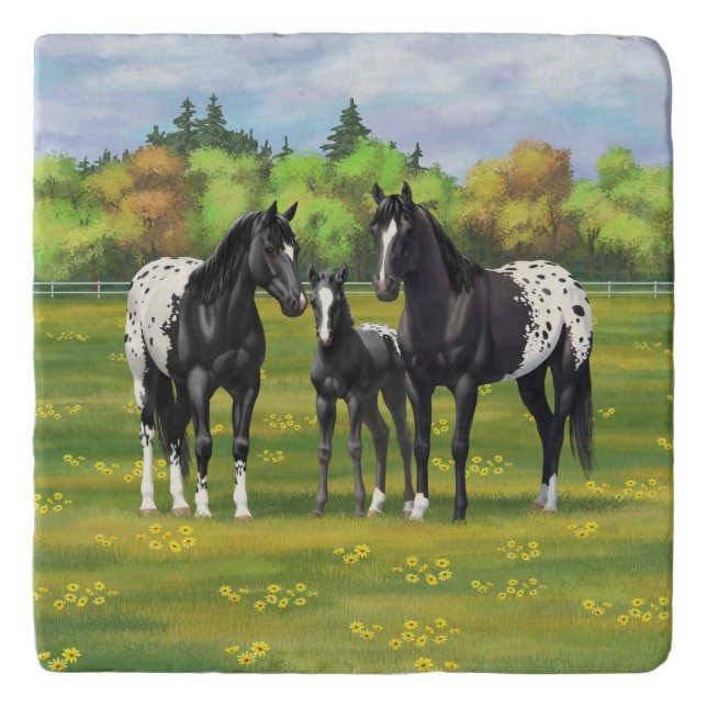 Black Appaloosa Horses In Summer Pasture Trivet (Front)