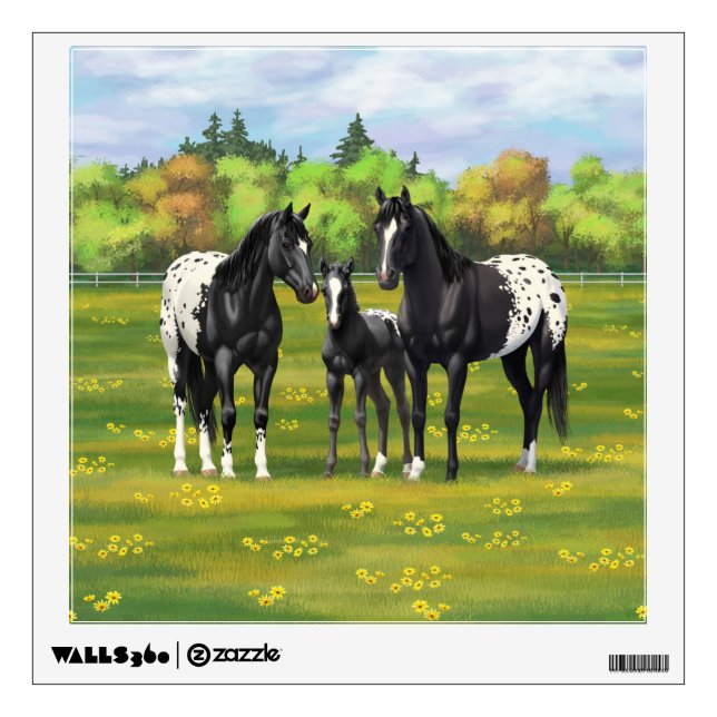 Black Appaloosa Horses In Summer Pasture Wall Decal (Front)