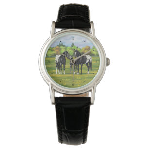 Black Appaloosa Horses In Summer Pasture Watch