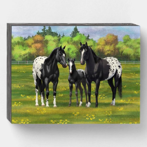 Black Appaloosa Horses In Summer Pasture Wooden Box Sign