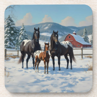 Black Appaloosa Horses on a Farm in Winter Beverage Coaster