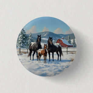 Black Appaloosa Horses on a Farm in Winter Button