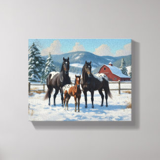 Black Appaloosa Horses on a Farm in Winter Canvas Print