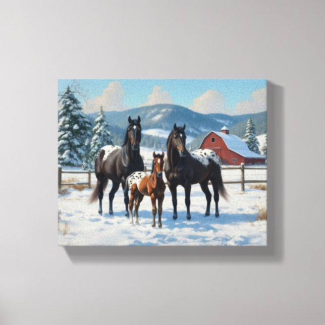 Black Appaloosa Horses on a Farm in Winter Canvas Print (Front)