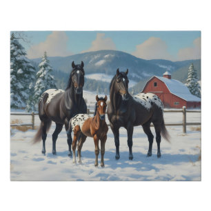 Black Appaloosa Horses on a Farm in Winter Faux Canvas Print