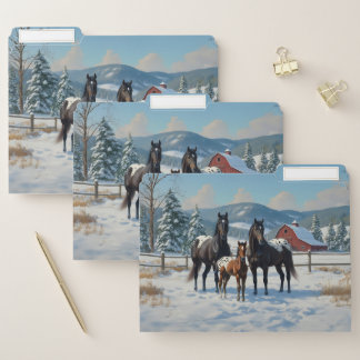 Black Appaloosa Horses on a Farm in Winter File Folder