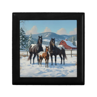 Black Appaloosa Horses on a Farm in Winter Gift Box
