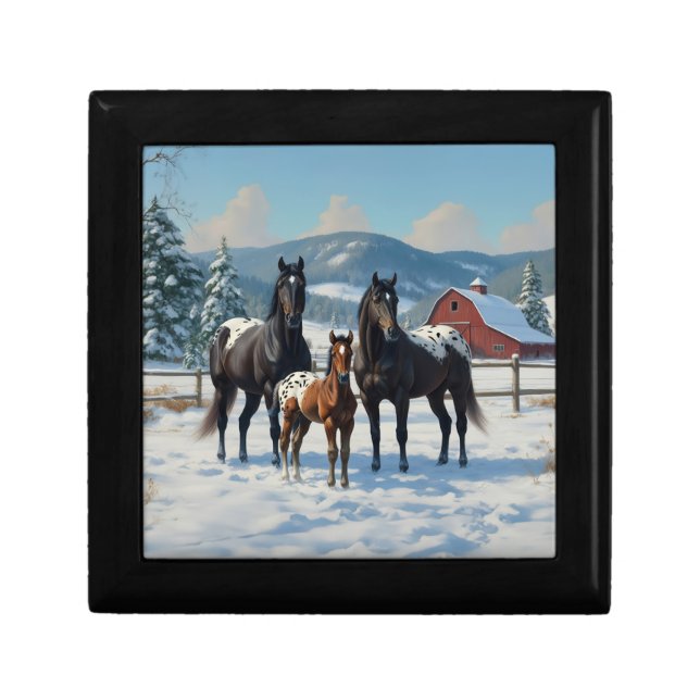 Black Appaloosa Horses on a Farm in Winter Gift Box (Front)