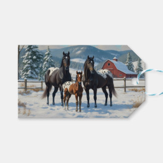 Black Appaloosa Horses on a Farm in Winter Gift Tags