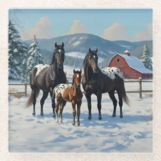 Black Appaloosa Horses on a Farm in Winter Glass Coaster