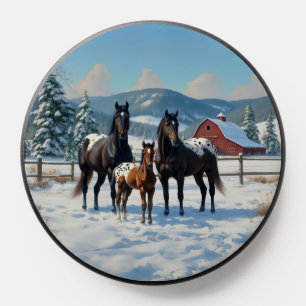 Black Appaloosa Horses on a Farm in Winter PopSocket