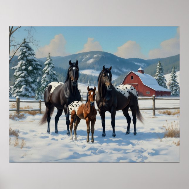 Black Appaloosa Horses on a Farm in Winter Poster (Front)