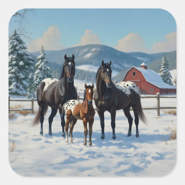 Black Appaloosa Horses on a Farm in Winter Square Sticker (Front)