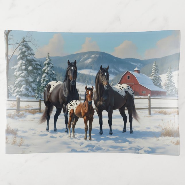 Black Appaloosa Horses on a Farm in Winter Trinket Tray (Front)