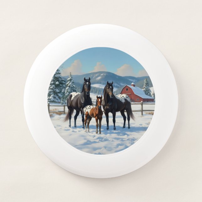 Black Appaloosa Horses on a Farm in Winter Wham-O Frisbee (Front)