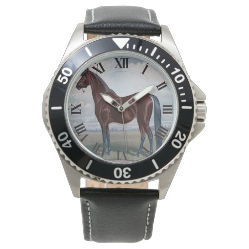 Black Arabian Horse Watch