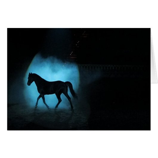 Black Arabian Stallion Cards (Front Horizontal)