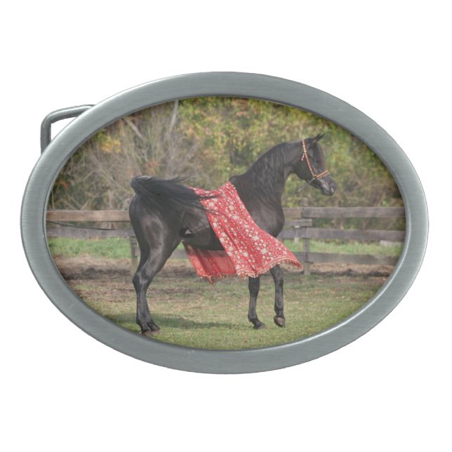 Black Arabian stallion in silk Belt Buckle (Front)