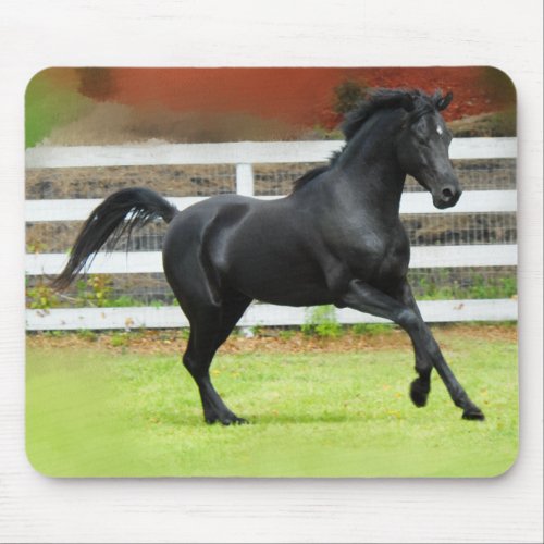 Black Arabian Stallion Mouse Pad