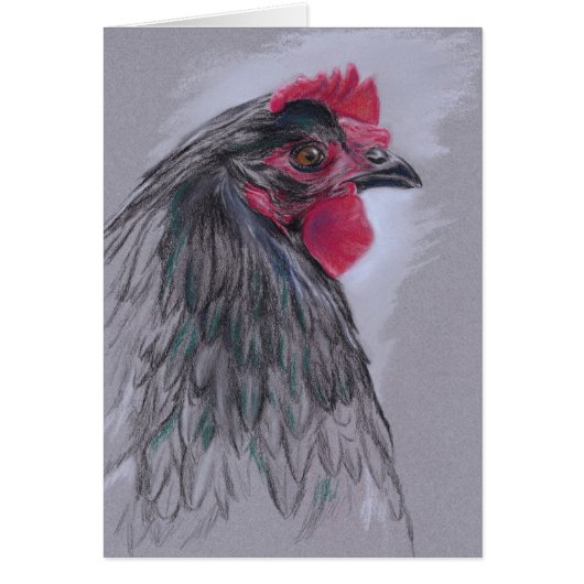 Black Australorp Hen Cards (Front)