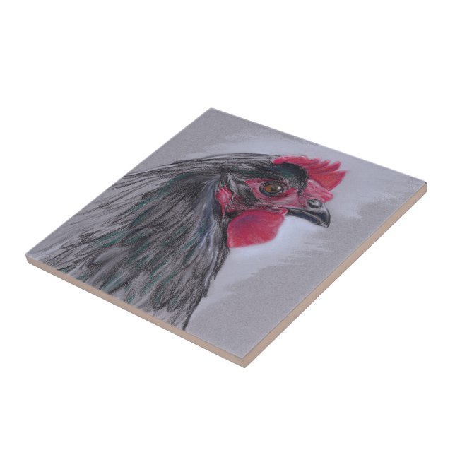 Black Australorp Hen Tile (Side)